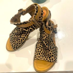 Blowfish cheetah scandals size 7